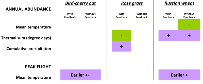 Graph of Aphid presences