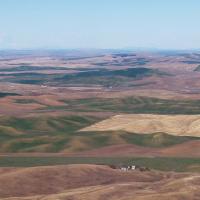 Palouse from Kamiak Butte -Roger Nelson