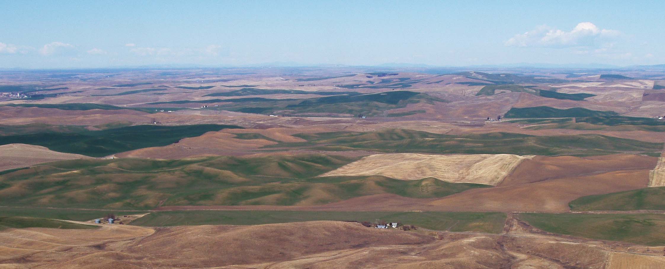 Palouse Terrain and field variability